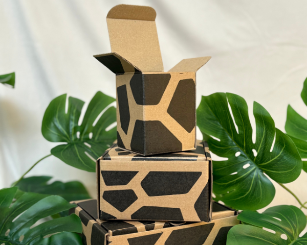 Stack of patterned cardboard boxes with green leaves in the background