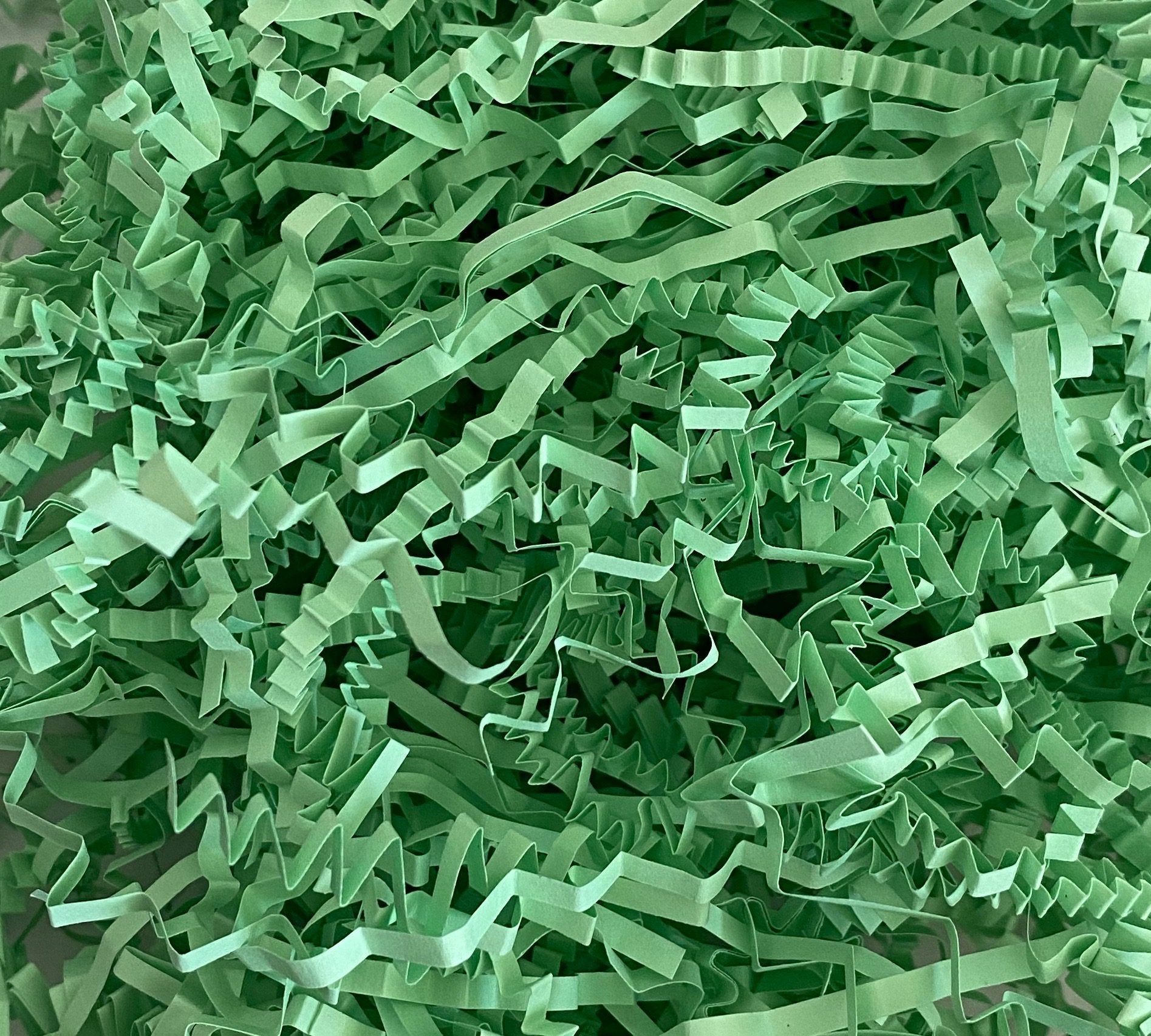 Forest green crinkle shredded paper box filler 100 gram packet