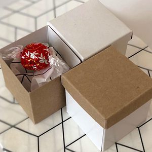 Have you ever seen a cuter gift box??