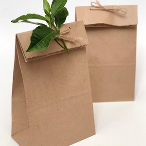 Paper Bags