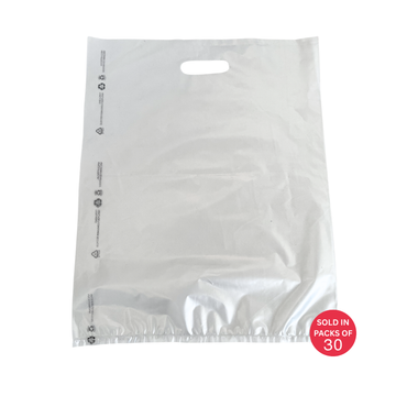 Medium Frosted Matte Boutique Bags (300x400x45mic) (Pack of 30)