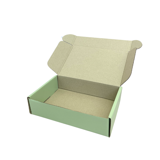 Sage Shipper Box (237x153x58mm) (Pack of 10)