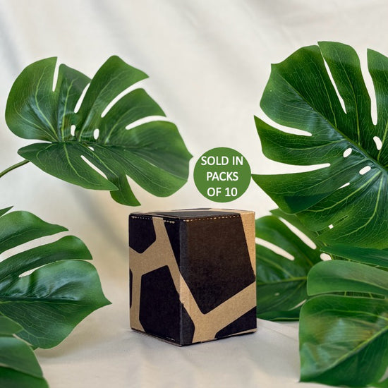 Decorative box with geometric pattern surrounded by large green leaves on a light background