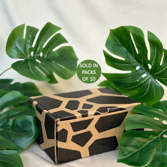 Box with geometric pattern surrounded by green leaves on a light background