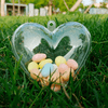 Transparent Heart
